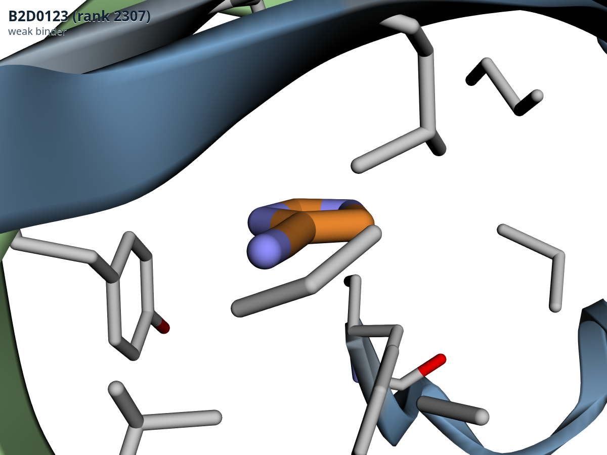 Co-folded complex of the weakest-scoring compound B2D0123 (orange), sitting at the mouth of the pocket rather than inside it